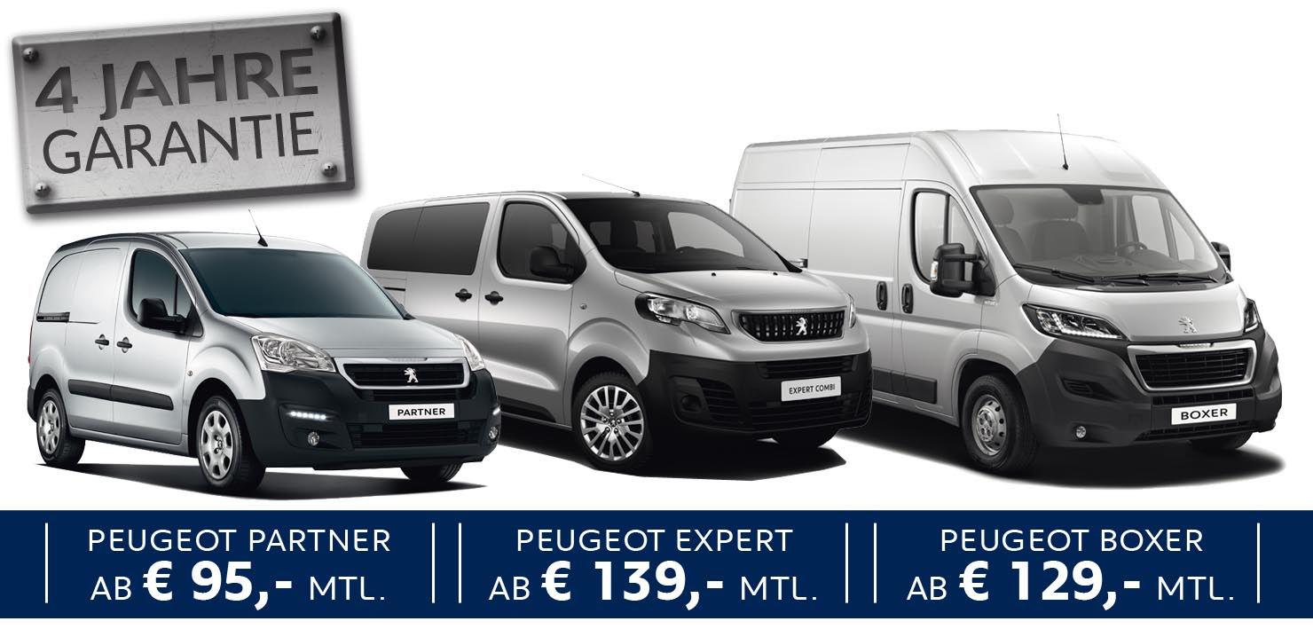 3-peugeot-b2b-pic.12050